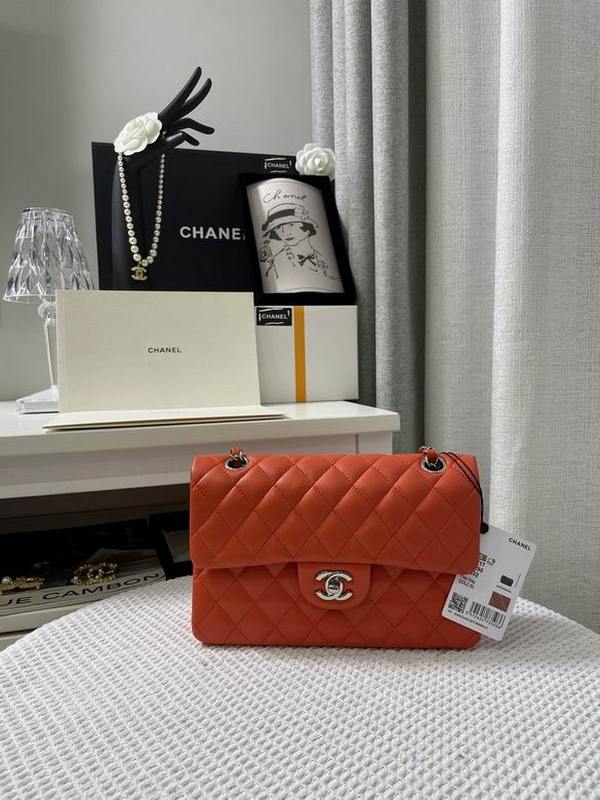 Chanel Handbags 166